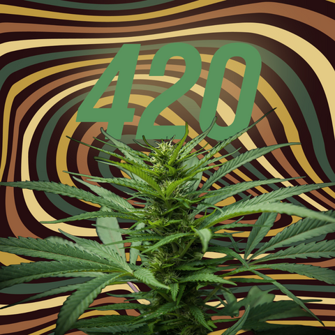 Why You Should Celebrate 420
