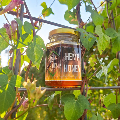 Hemp Honey