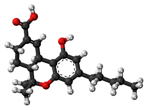 THCA: The Unactivated Cannabinoid