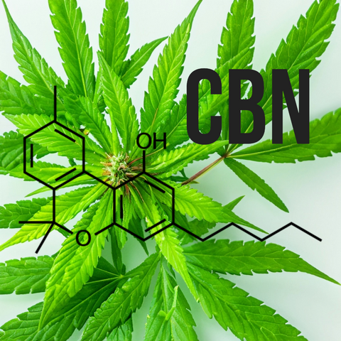 CBN chemical structure with hemp plant
