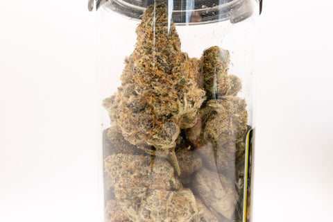 THCA Flower Rainbow Reserve